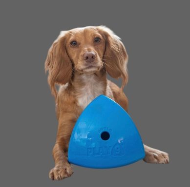 Roolo Dog Toy