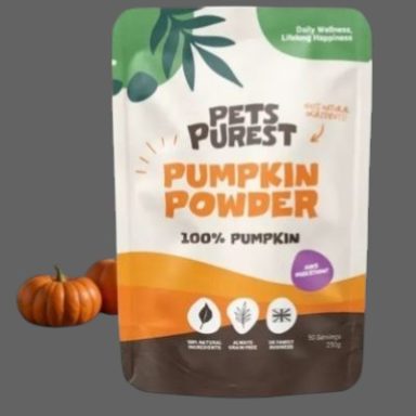 Pumpkin Powder